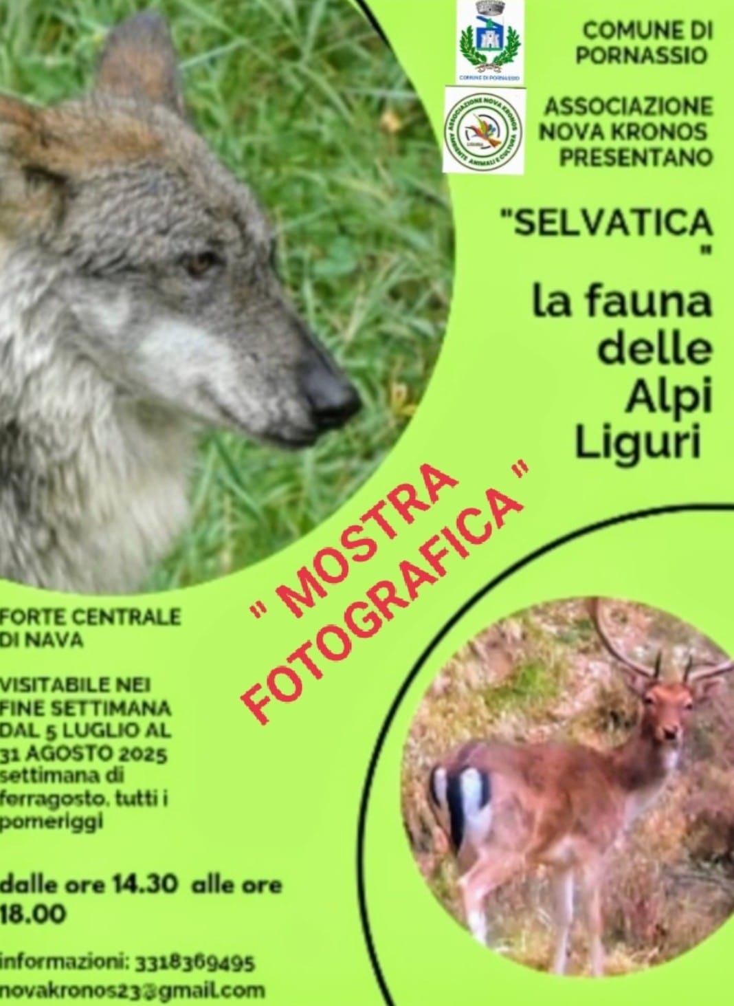 Selvatica
